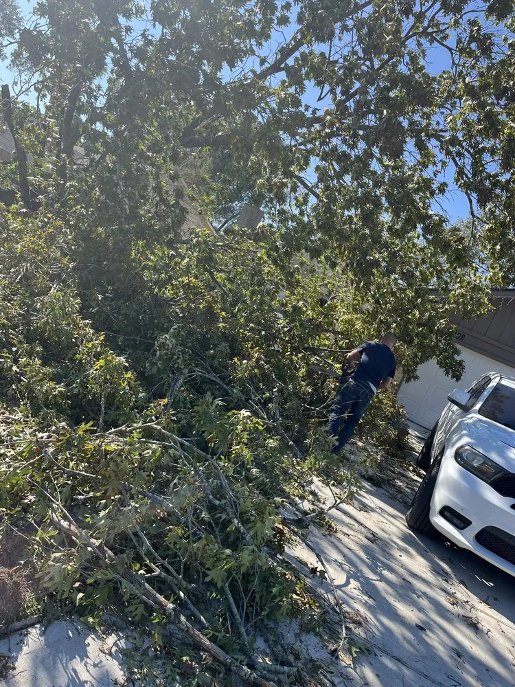 Top-rated yard cleanup service experts serving Santa Fe, TX - Resilience Tree Service