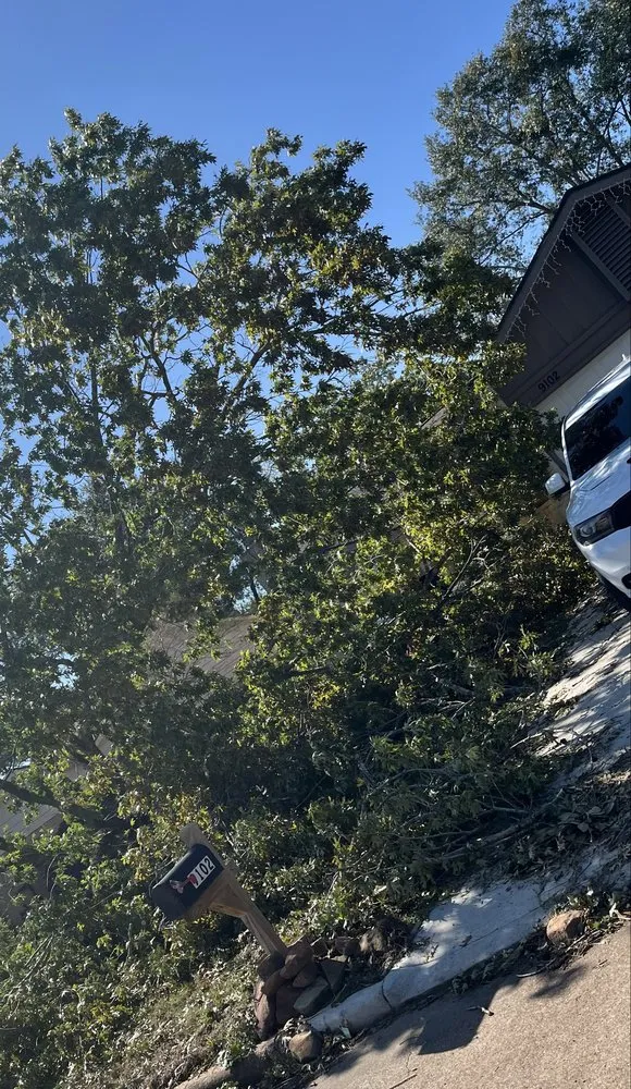 Local landscape design experts serving Santa Fe, TX - Resilience Tree Service