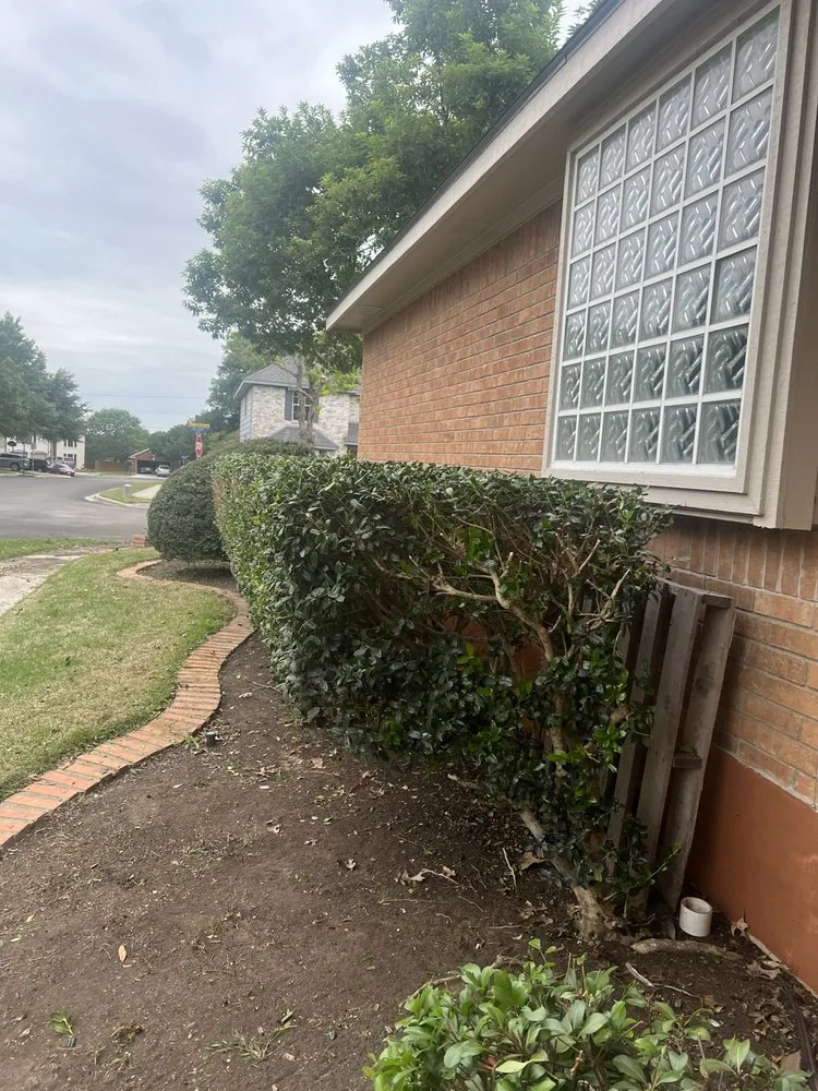 Custom lawn mowing service in Canyon Lake, TX - Resilient Landscping and Removal Services