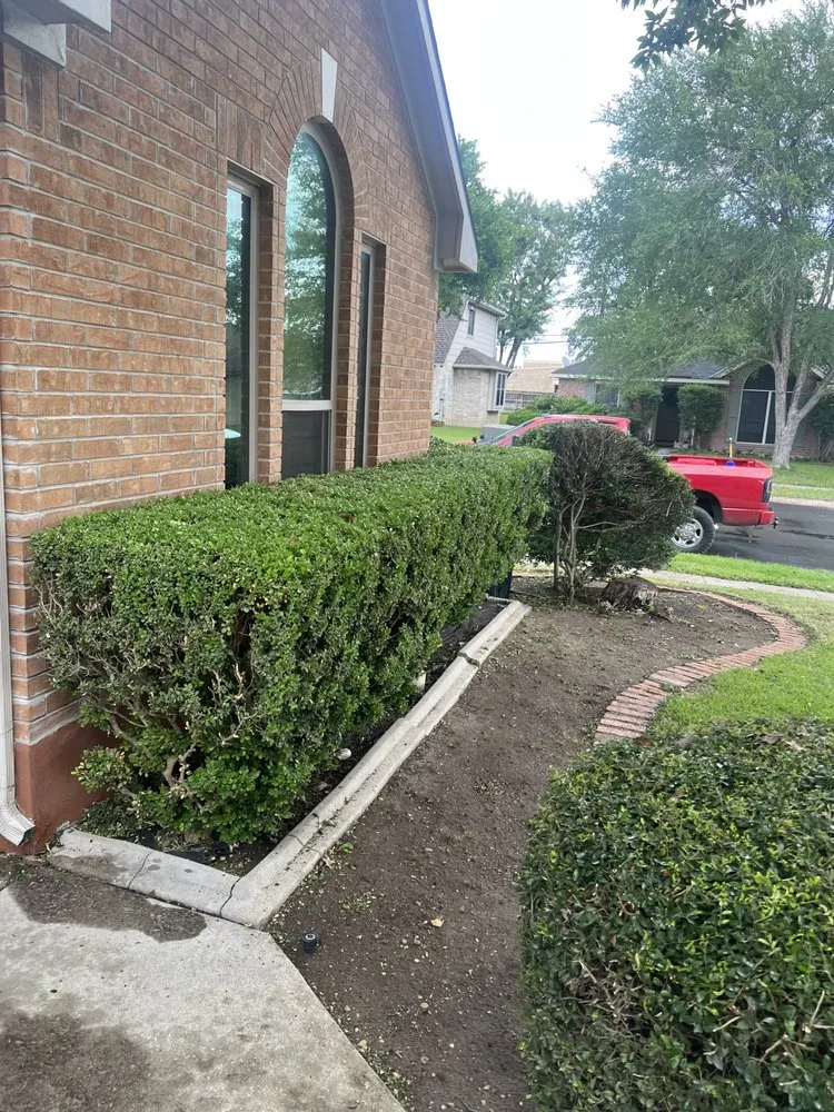 Custom landscape installation for beautiful yards across Canyon Lake, TX - Resilient Landscping and Removal Services