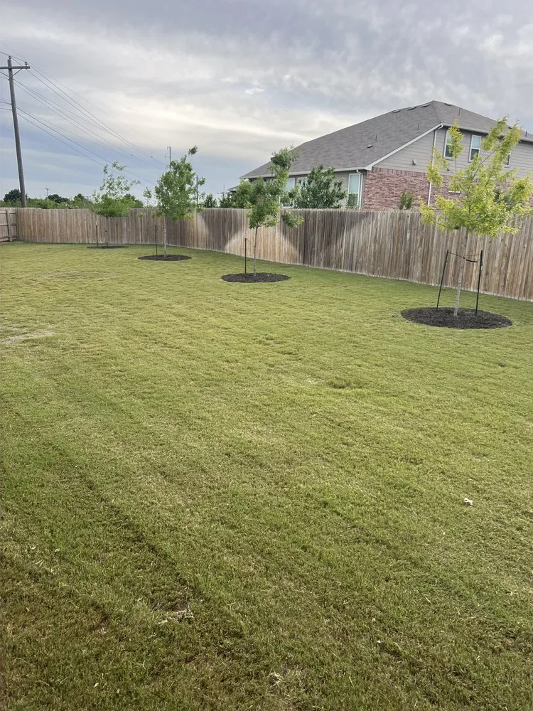 Affordable landscape installation in Canyon Lake, TX by Resilient Landscping and Removal Services
