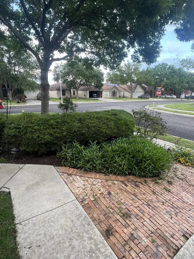 Top-rated outdoor landscaping for homes in Canyon Lake, TX by Resilient Landscping and Removal Services
