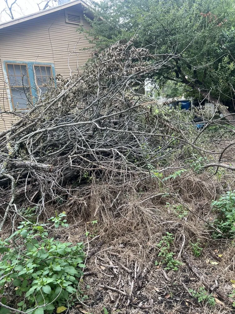 Reliable garden landscaping in Canyon Lake, TX by Resilient Landscping and Removal Services