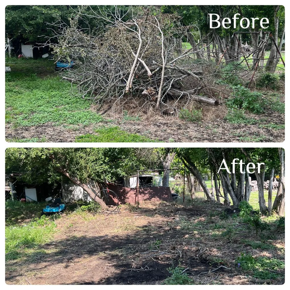 Trusted residential landscaping experts serving Canyon Lake, TX - Resilient Landscping and Removal Services