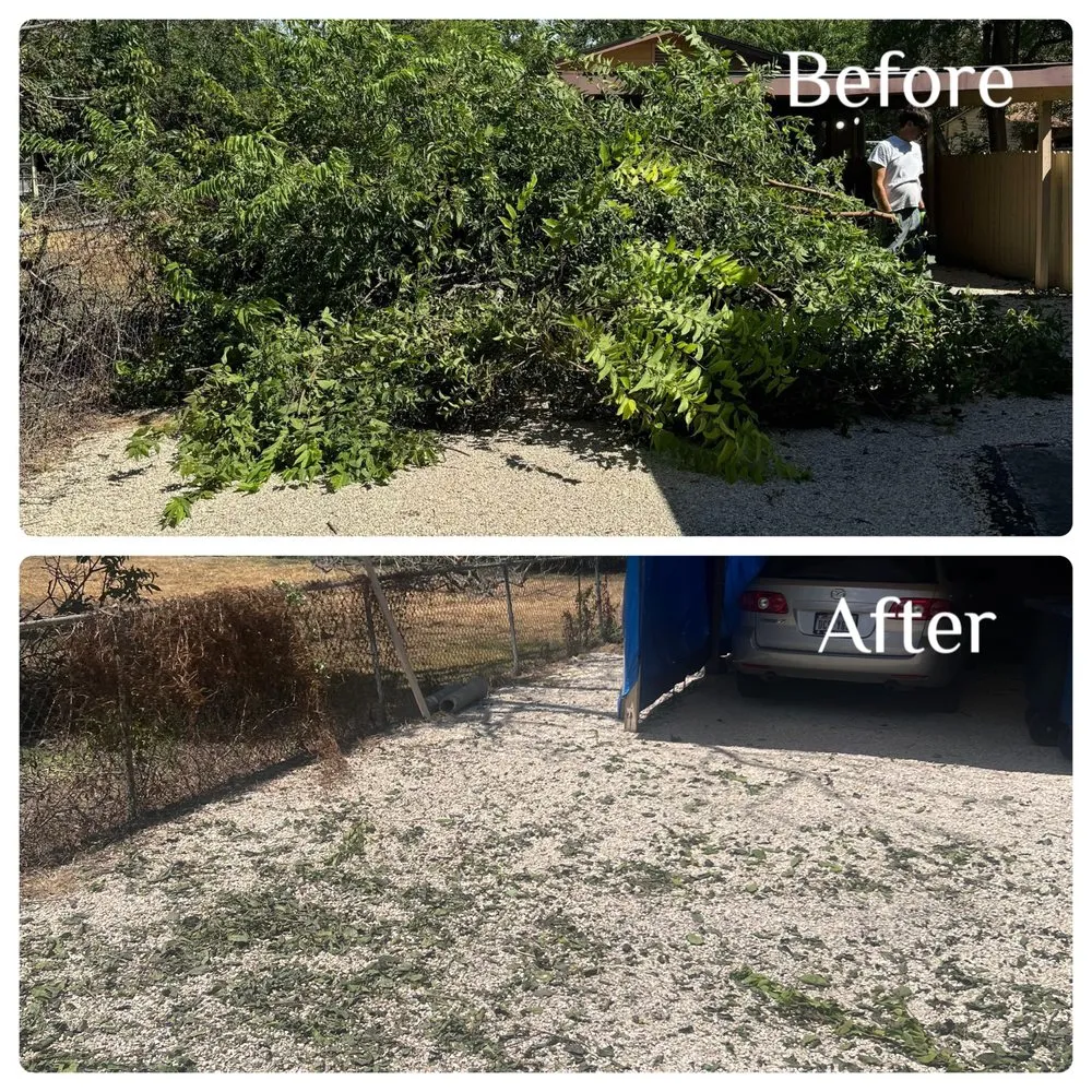 Trusted residential landscaping with custom design in Canyon Lake, TX by Resilient Landscping and Removal Services