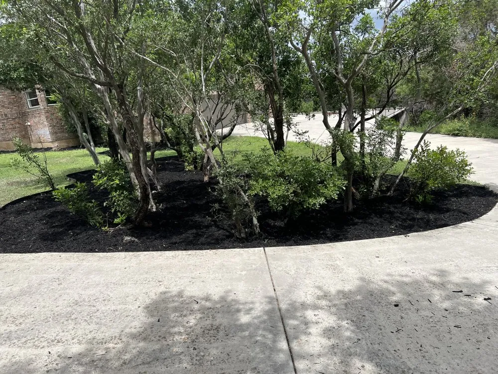 Top-rated yard maintenance experts serving Canyon Lake, TX - Resilient Landscping and Removal Services