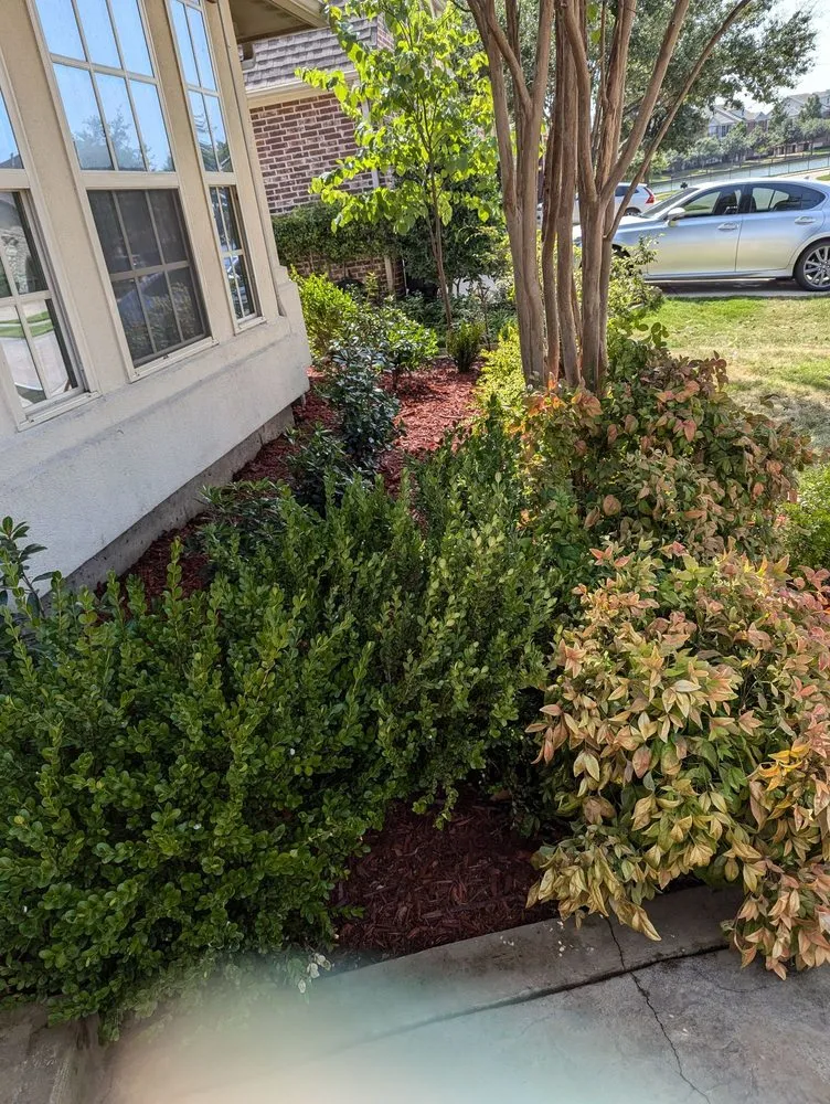 Top-rated lawn care service for residential properties in Southlake, TX by Resilient Structures