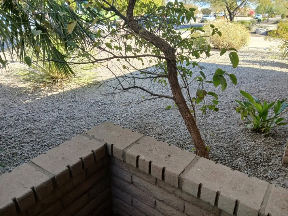 Top-rated lawn mowing service experts serving Litchfield Park, AZ - Resler Rock & Gravel