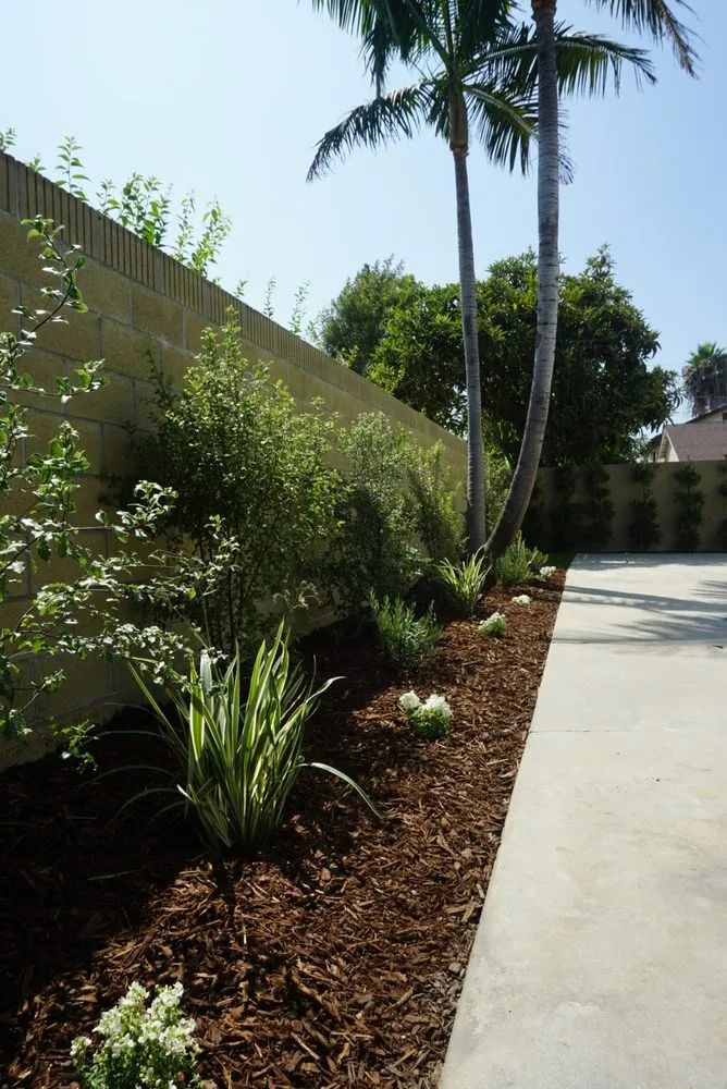 Reliable landscape design in Cypress, CA - Resolve Landscape