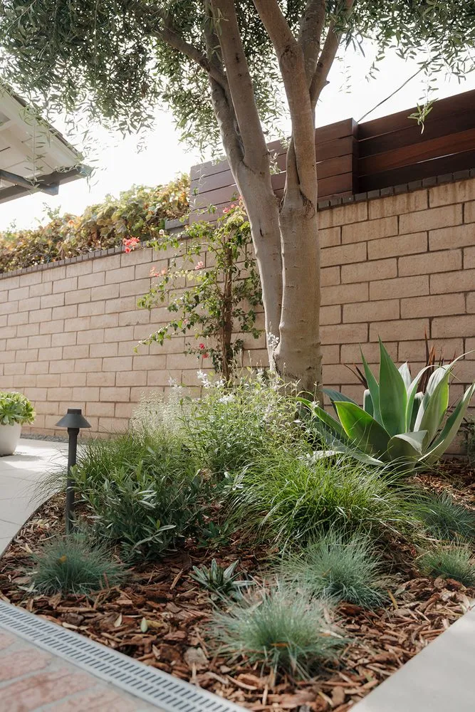 Top-rated lawn mowing service in Cypress, CA by Resolve Landscape