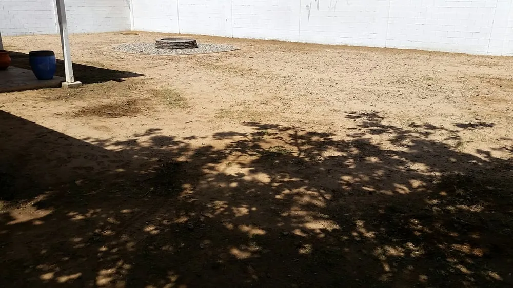 Affordable lawn mowing service for residential properties across Phoenix, AZ - Responsible Landscaping