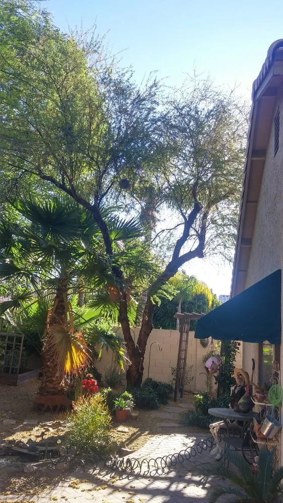 Affordable lawn care service experts serving Phoenix, AZ - Responsible Landscaping