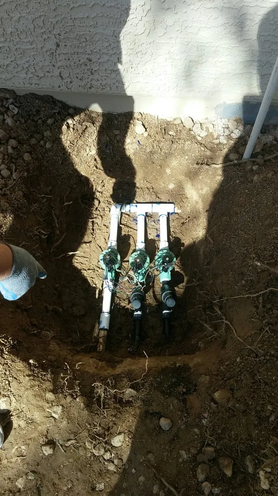 Local lawn care service in Phoenix, AZ by Responsible Landscaping