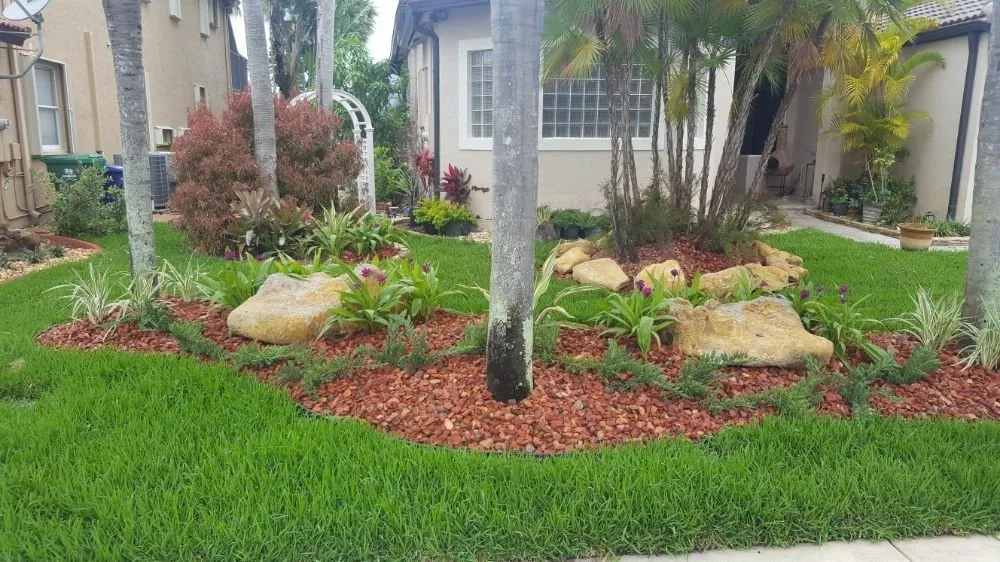 Top-rated lawn care service experts serving Miami Gardens, FL - Responsible Trees, Stump Grinding