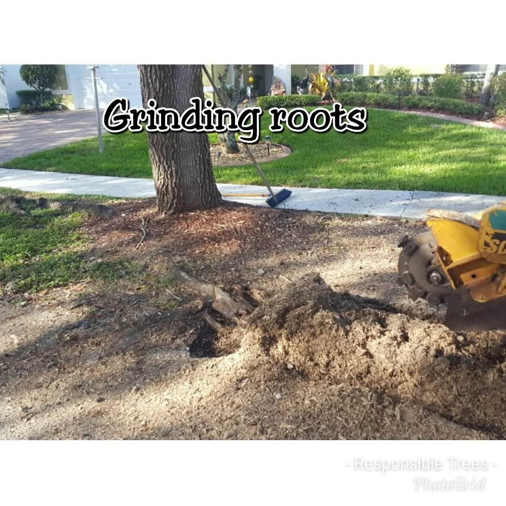 Top-rated outdoor landscaping in Miami Gardens, FL - Responsible Trees, Stump Grinding