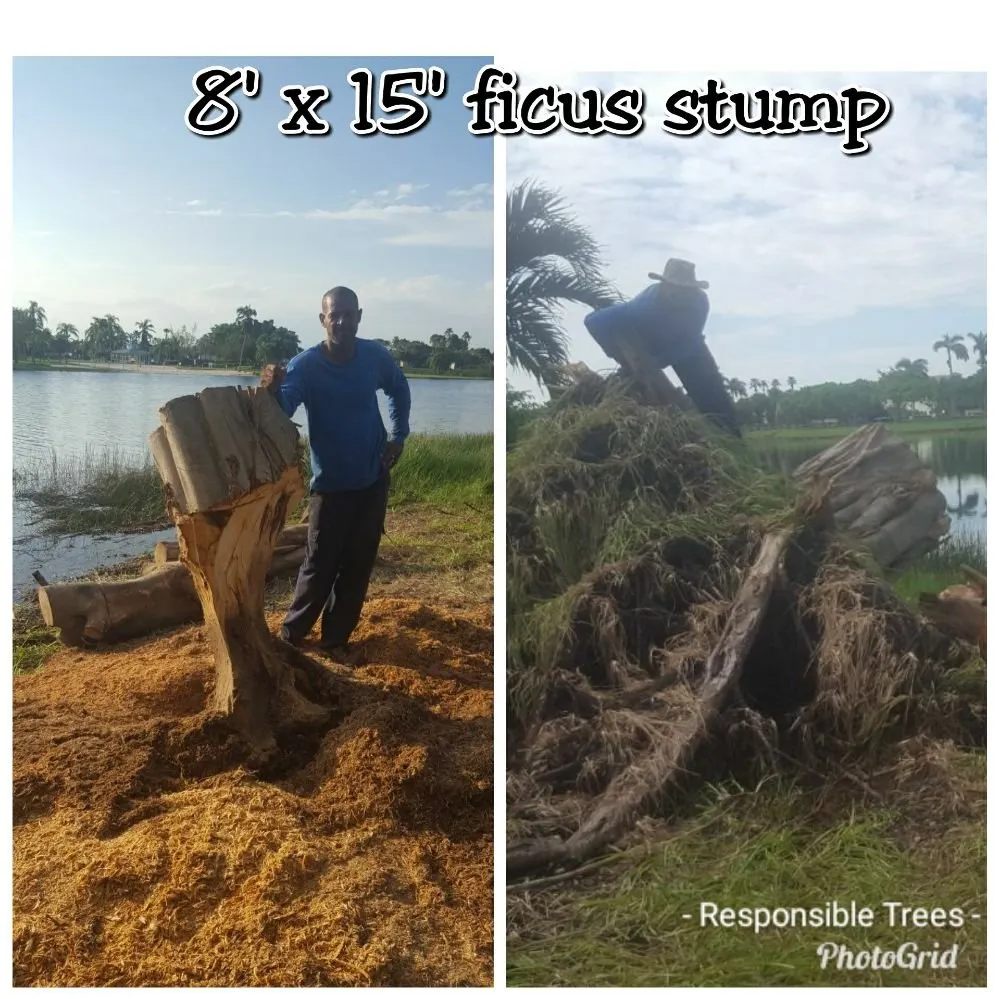 Local lawn care service experts serving Miami Gardens, FL - Responsible Trees, Stump Grinding