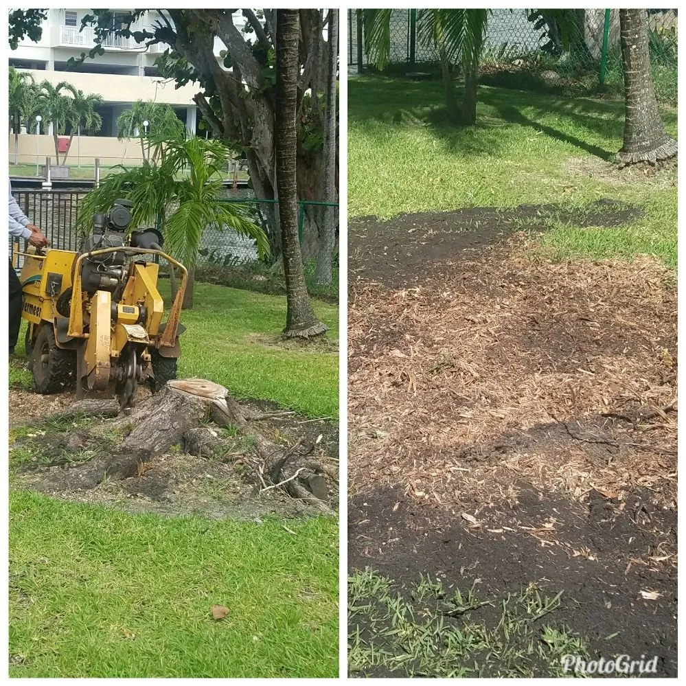 Top-rated landscaping services in Miami Gardens, FL by Responsible Trees, Stump Grinding
