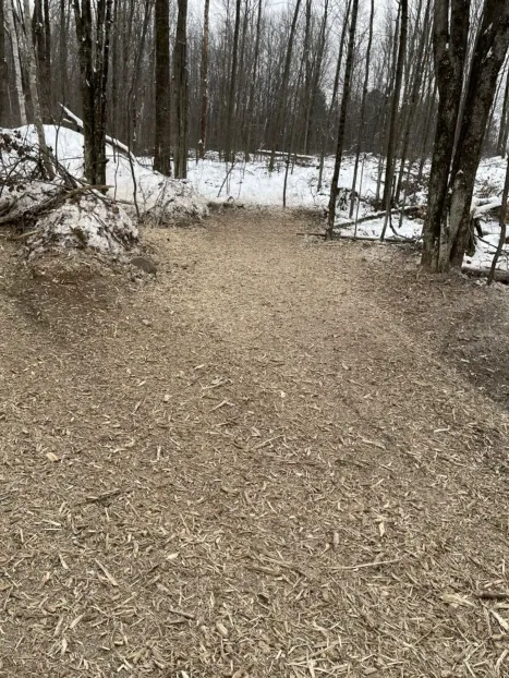 Local landscape design for homes in Mosinee, WI by Ress Outdoor Services