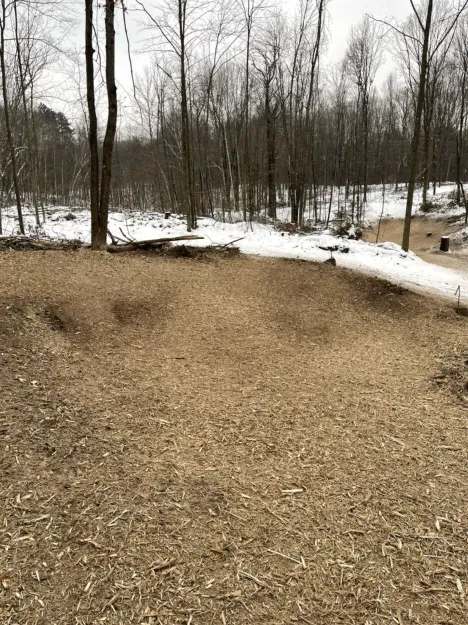 Custom landscape design with custom design in Mosinee, WI by Ress Outdoor Services