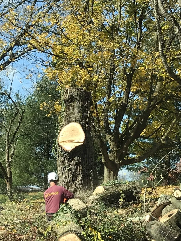 Professional residential landscaping experts serving Mohnton, PA - Ressler Tree Service