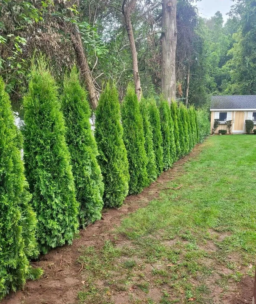 Top-rated landscape installation for residential properties in West Haven, CT by Restless Tree and Landscaping