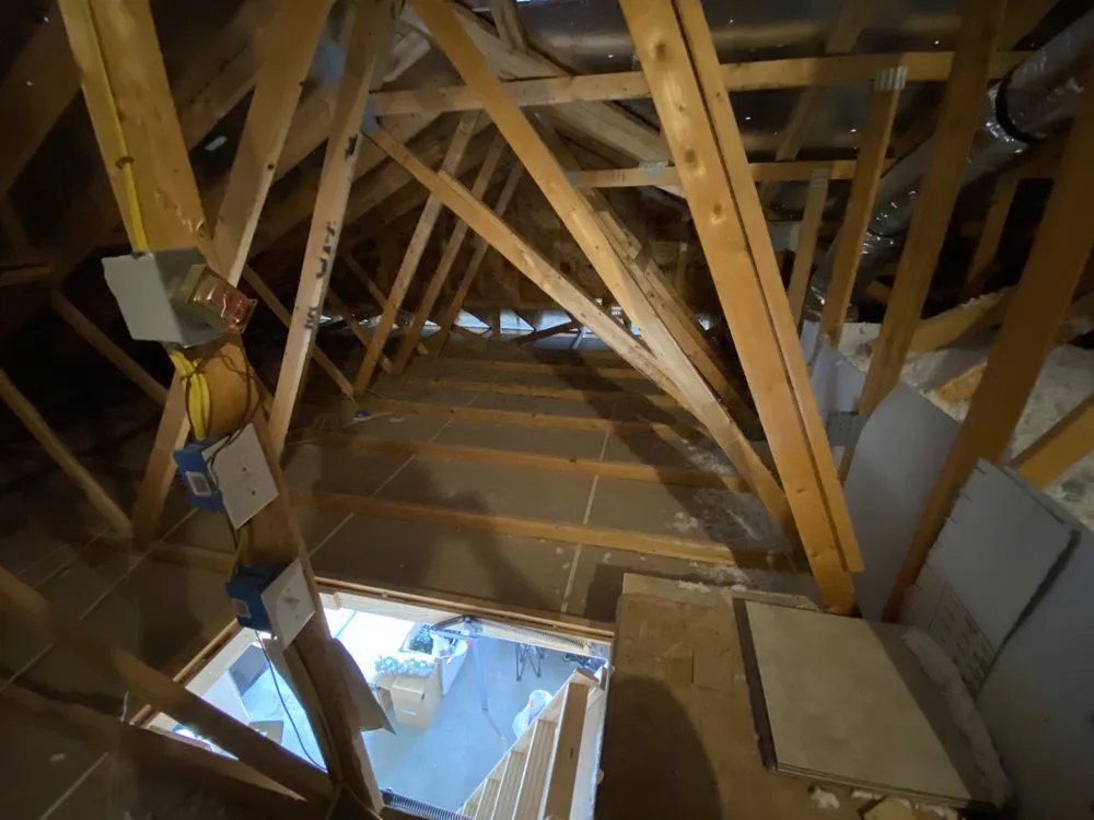 Trusted yard cleanup service experts serving San Antonio, TX - Restoration Company