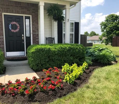 Restoration Landscape