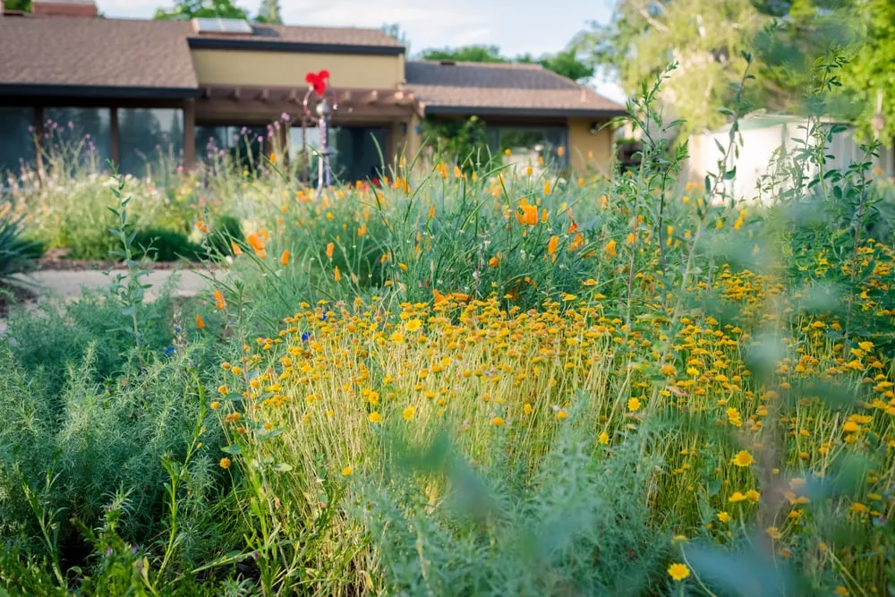 Reliable residential landscaping near you in Sacramento, CA by Restoration Landscaping Company