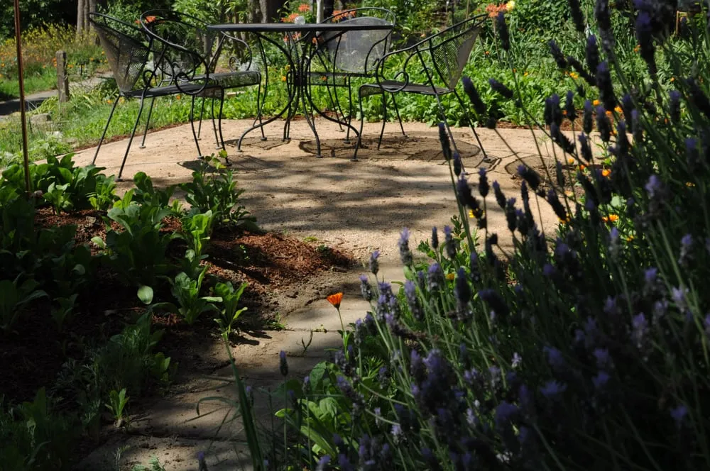 Professional lawn mowing service in Sacramento, CA by Restoration Landscaping Company