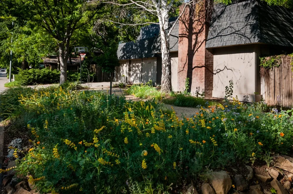 Affordable landscape installation in Sacramento, CA by Restoration Landscaping Company