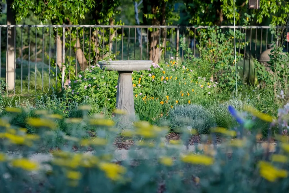 Custom outdoor landscaping in Sacramento, CA - Restoration Landscaping Company