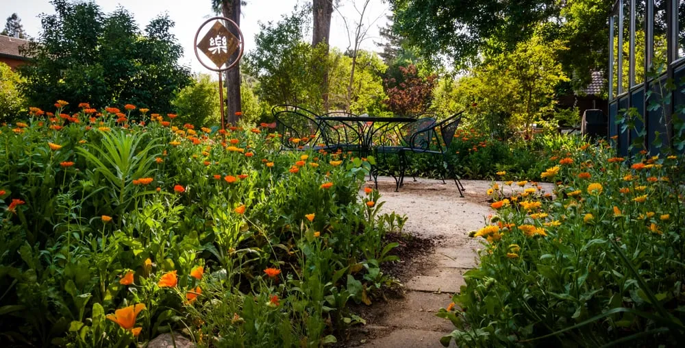 Expert lawn mowing service in Sacramento, CA - Restoration Landscaping Company