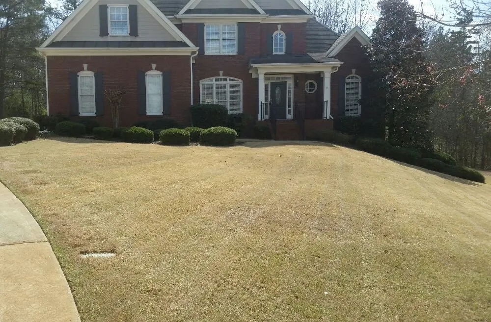 Expert yard cleanup service in Winterville, GA - Restoration Lawn Care