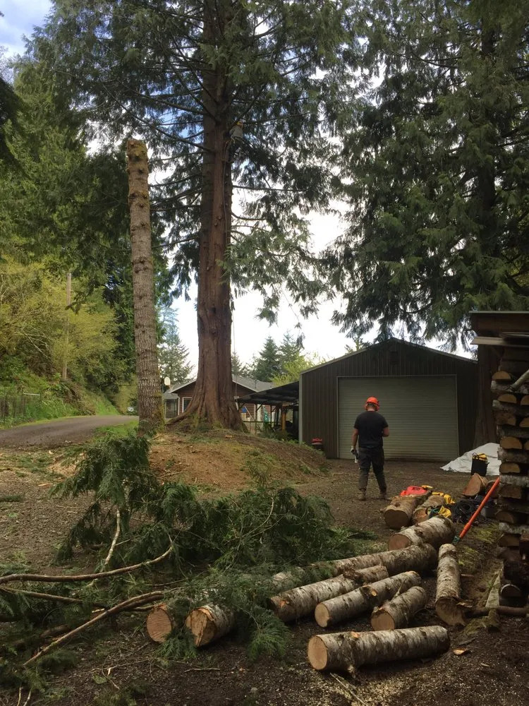 Professional landscape design for beautiful yards in Gearhart, OR by Restoration Pruning