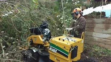 Trusted yard maintenance for outdoor upgrades in Gearhart, OR by Restoration Pruning