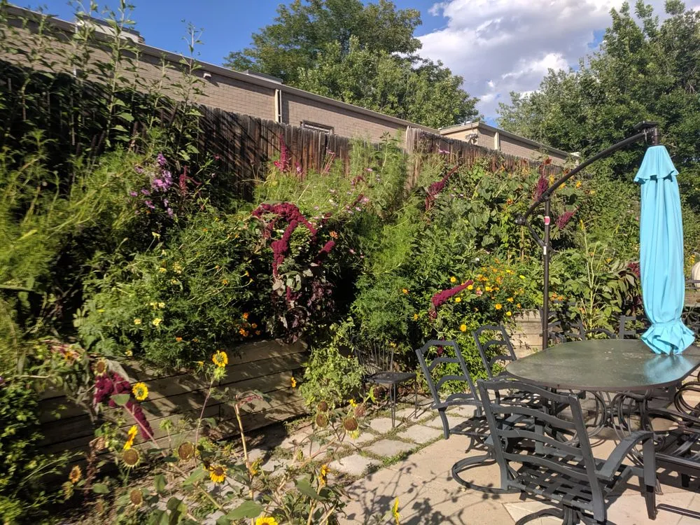 Custom landscape installation for homes in Denver, CO by Restorative Landscape Design