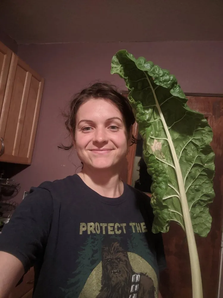 Top-rated landscape design experts serving Denver, CO - Restorative Landscape Design