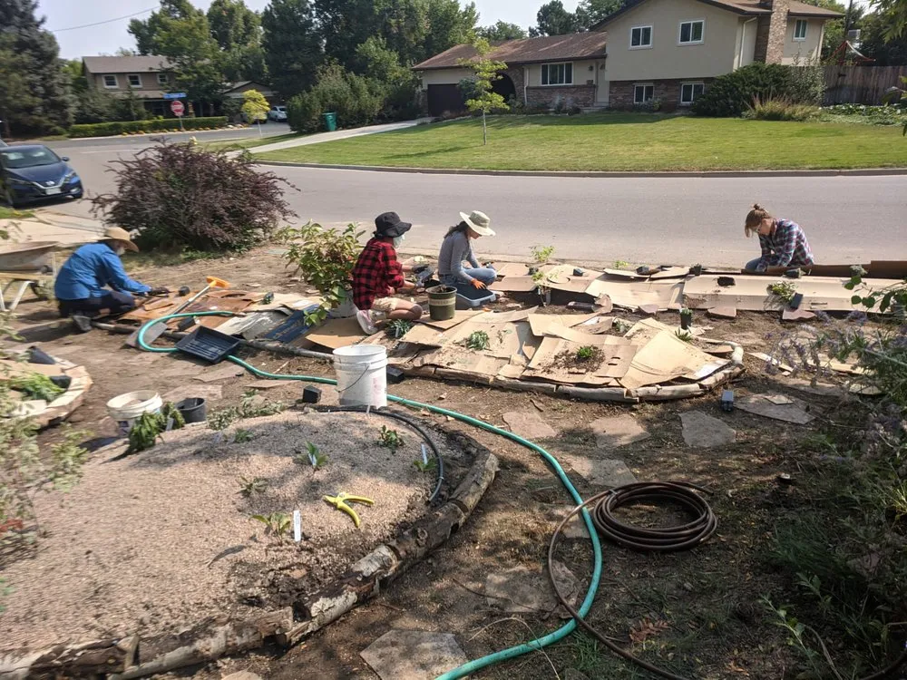 Custom outdoor landscaping for year-round maintenance across Denver, CO - Restorative Landscape Design
