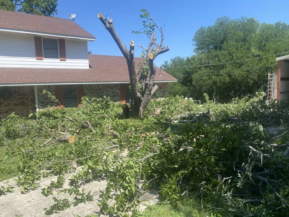 Expert landscape design for homes in Chico, TX by Restore By Norman