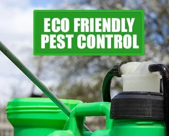 Affordable yard maintenance in Brownstown, PA - Restore Earth Ecoservices