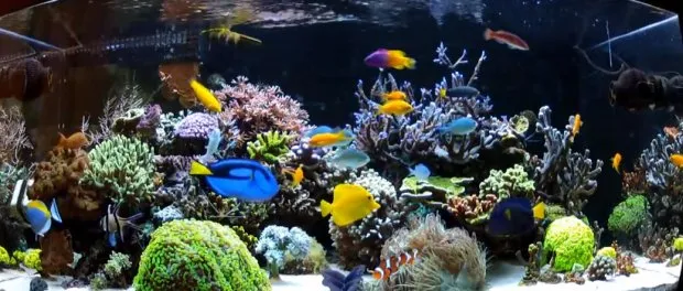 Local outdoor landscaping in Brownstown, PA - Restore Earth Ecoservices