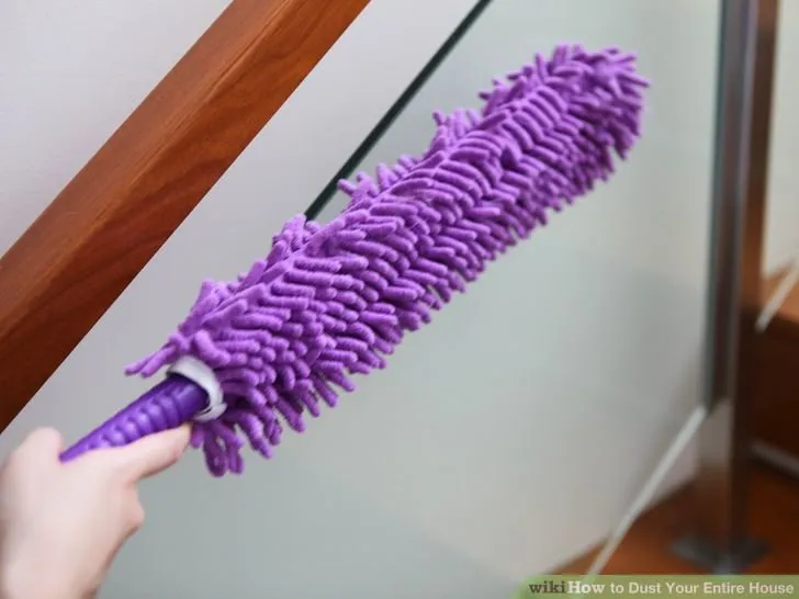 Trusted yard cleanup service in Brownstown, PA by Restore Earth Ecoservices