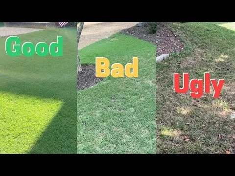 Local landscape installation in Hicksville, NY - Restore Landscape