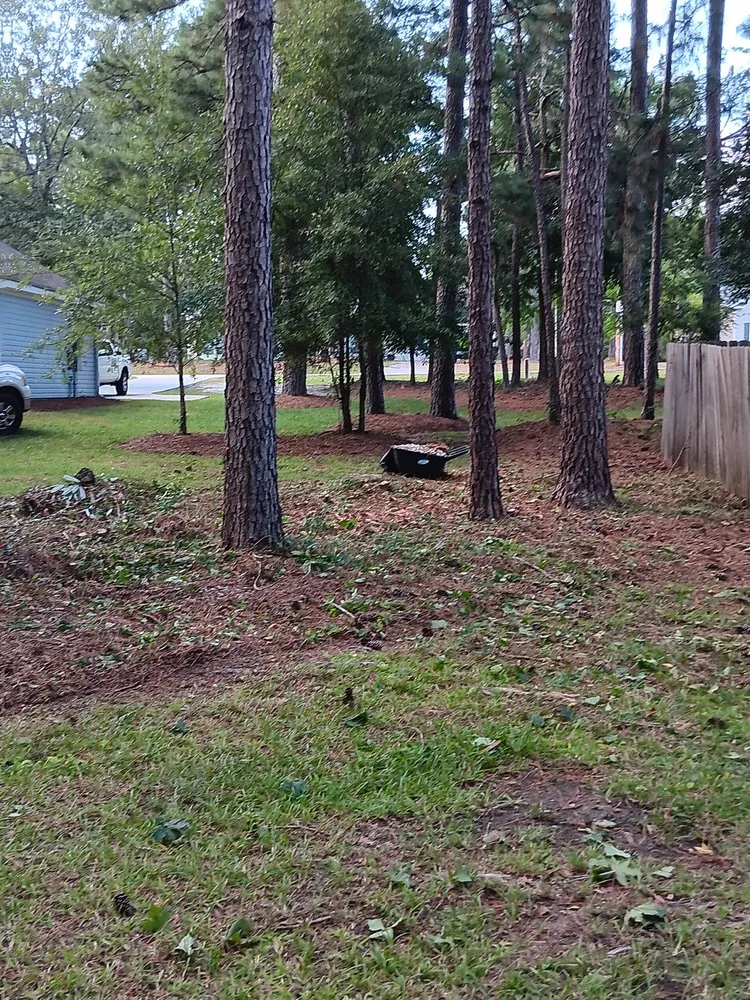 Local lawn mowing service for beautiful yards in Metter, GA by Restored Lawns and Landscaping