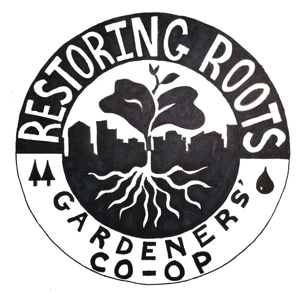 Affordable yard cleanup service experts serving Jamaica Plain, MA - Restoring Roots Cooperative