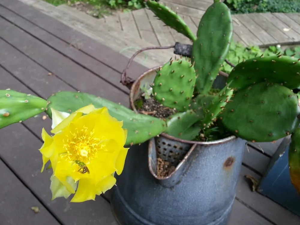 Top-rated landscape design experts serving Jamaica Plain, MA - Restoring Roots Cooperative