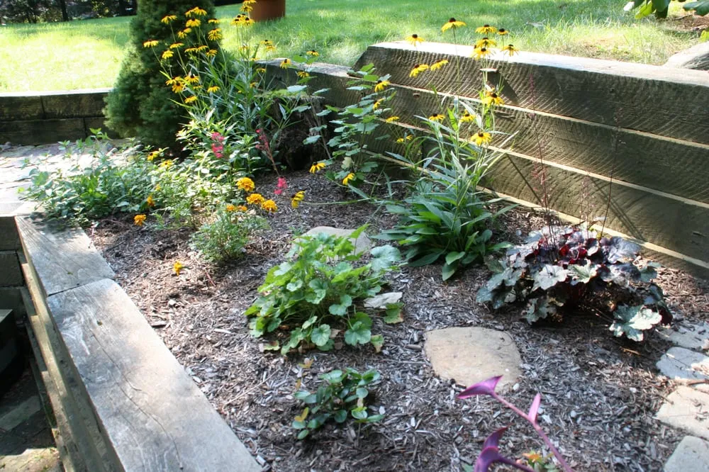 Affordable landscaping services for beautiful yards in Jamaica Plain, MA by Restoring Roots Cooperative