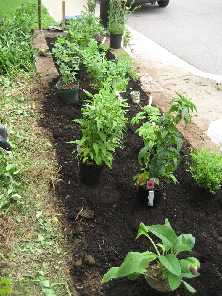 Affordable outdoor landscaping in Jamaica Plain, MA - Restoring Roots Cooperative