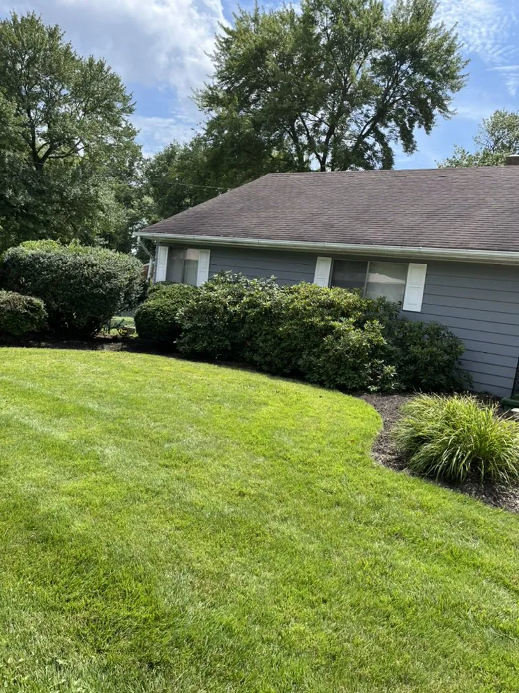 Expert landscape design in Elsmere, DE - Restoring Roots