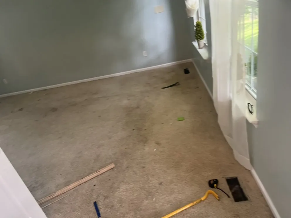 Local landscape design experts serving Elsmere, DE - Restoring Roots